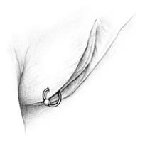 Piercing an einer großen Schamlippe mit BCR Ring gepierct im weiblichen Intimbereich